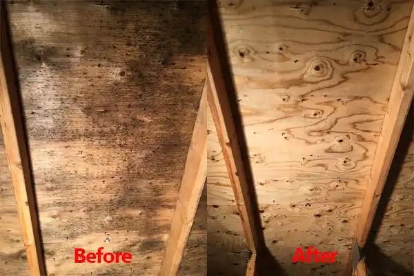 water damage restoration service Arnold Line